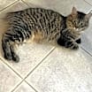 Thumbnail photo of Cruz #1