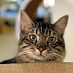 Thumbnail photo of Cruz #3