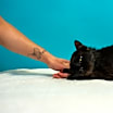 Thumbnail photo of Twin #2