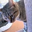 Thumbnail photo of Bella (158) #3