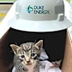 Thumbnail photo of Duke #2
