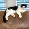 Thumbnail photo of Millie #3