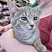 Thumbnail photo of Tina #2