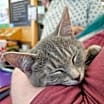 Thumbnail photo of Tina #3