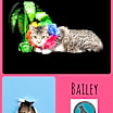 Thumbnail photo of Bailey #1