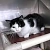 Thumbnail photo of Lucky #3