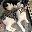 Thumbnail photo of Olivia #3