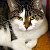 Thumbnail photo of Olivia #4