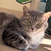 Thumbnail photo of Delilah 3 #3