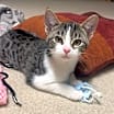 Thumbnail photo of Alaina #1
