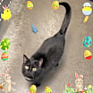 Thumbnail photo of Santa Maria (3s company momma) #1