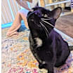 Thumbnail photo of Princess #2