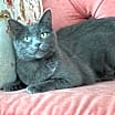 Thumbnail photo of Naomi #1