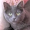 Thumbnail photo of Naomi #3