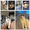 Thumbnail photo of Toby #2