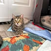 Thumbnail photo of Sissy #2