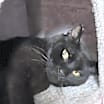 Thumbnail photo of Reddy #2