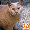 Thumbnail photo of Phyllis #2