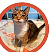 Thumbnail photo of Effy #2