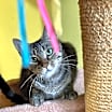 Thumbnail photo of Polly #1