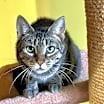 Thumbnail photo of Polly #3