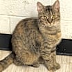 Thumbnail photo of Pootie #1