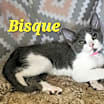Thumbnail photo of Bisque #2