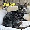 Thumbnail photo of Fulton #2