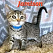 Thumbnail photo of Jamison #1