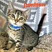 Thumbnail photo of Jamison #2