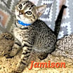 Thumbnail photo of Jamison #3