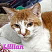 Thumbnail photo of Lillian #2