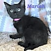 Thumbnail photo of Mariah #1