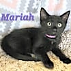 Thumbnail photo of Mariah #2