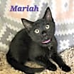 Thumbnail photo of Mariah #3