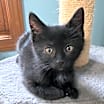 Thumbnail photo of Mercedes #2