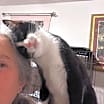 Thumbnail photo of Juniper #1