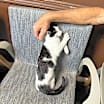 Thumbnail photo of Pixel #2