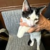 Thumbnail photo of Pixel #3
