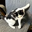 Thumbnail photo of Pixel #4