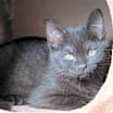 Thumbnail photo of Kipper #3