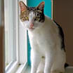 Thumbnail photo of Maverick #2
