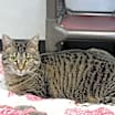 Thumbnail photo of Eva #4