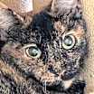 Thumbnail photo of Marmie #3