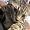 Thumbnail photo of Sky #1