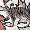 Thumbnail photo of Kaos Litter: PROMETHEUS #1