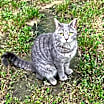 Thumbnail photo of Grouch #1