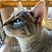 Thumbnail photo of Tina #4