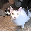 Thumbnail photo of Layna #1
