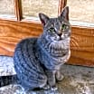 Thumbnail photo of Grouch #2